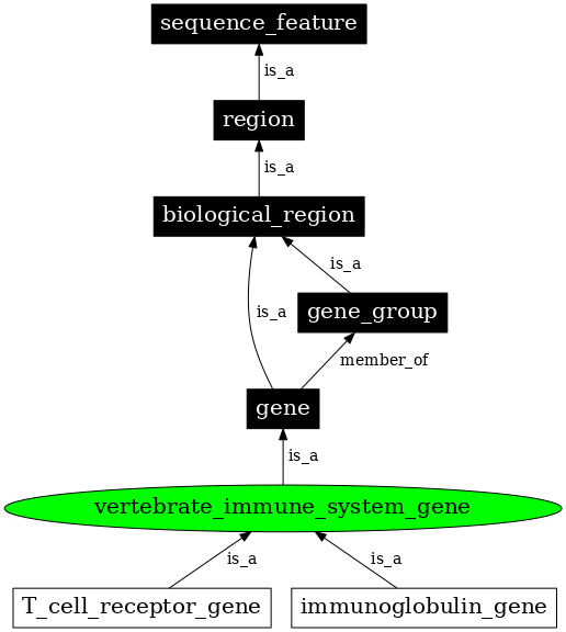 Graph image for SO:0002121