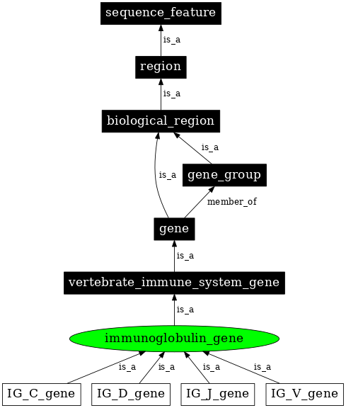 Graph image for SO:0002122