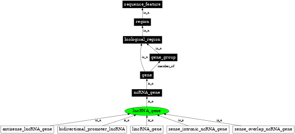 Graph image for SO:0002127