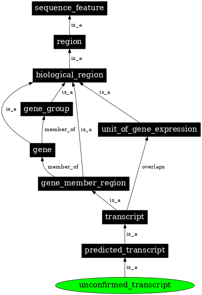 Graph image for SO:0002139