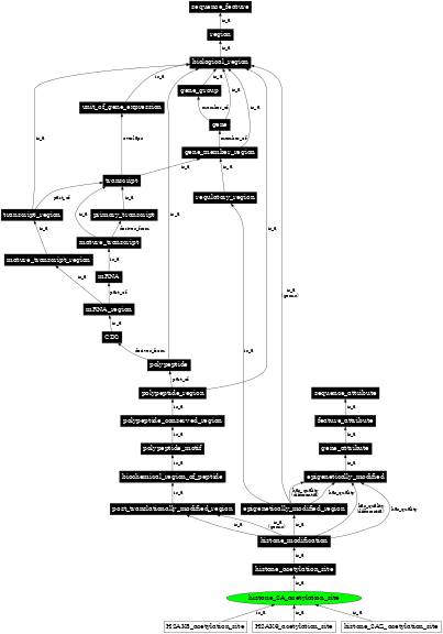 Graph image for SO:0002142