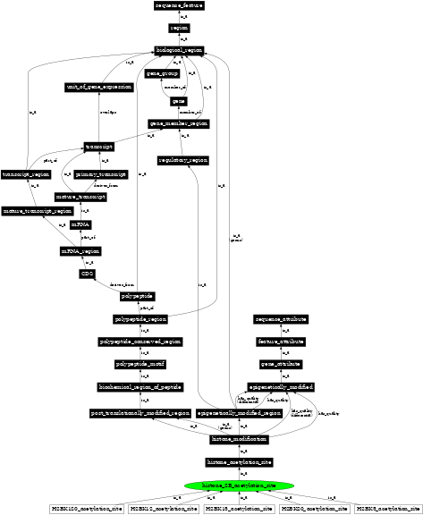 Graph image for SO:0002143