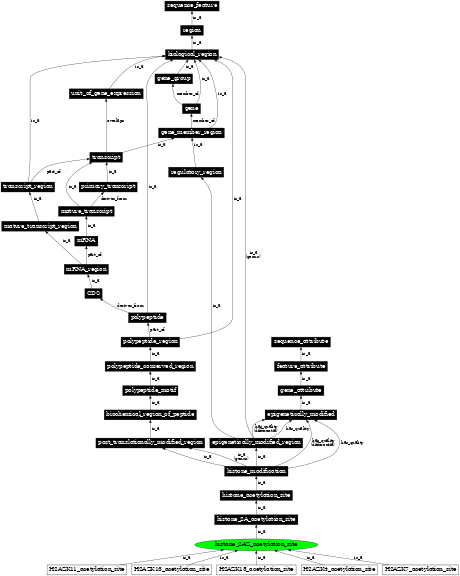 Graph image for SO:0002144