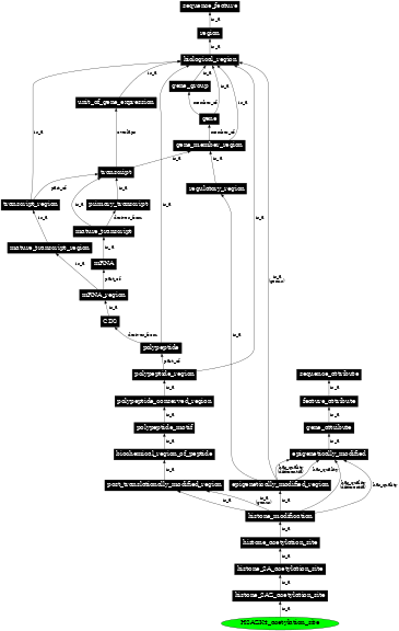 Graph image for SO:0002145