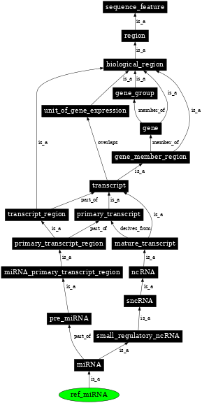 Graph image for SO:0002166