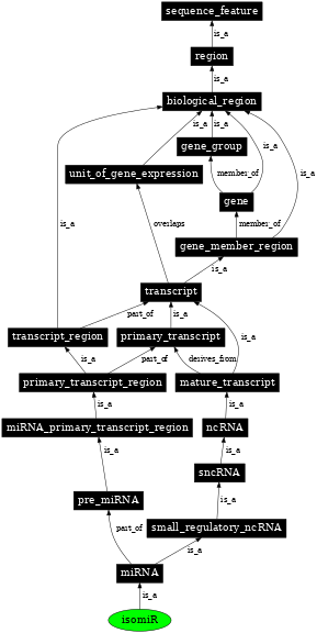 Graph image for SO:0002167