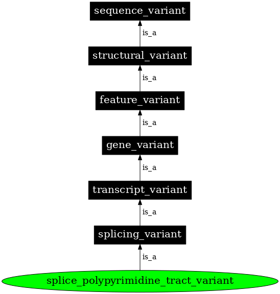 Graph image for SO:0002169