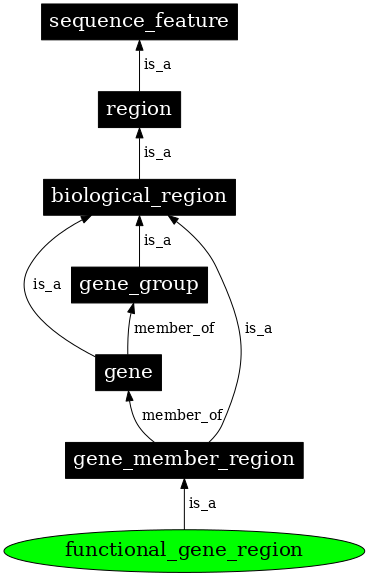 Graph image for SO:0002188