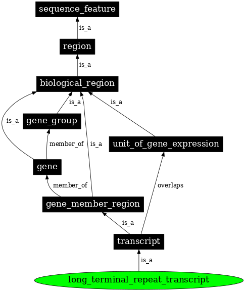 Graph image for SO:0002208