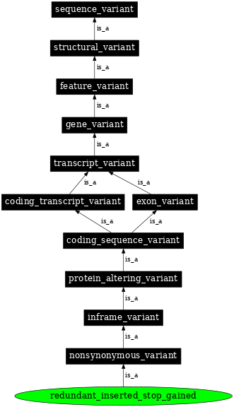 Graph image for SO:0002214