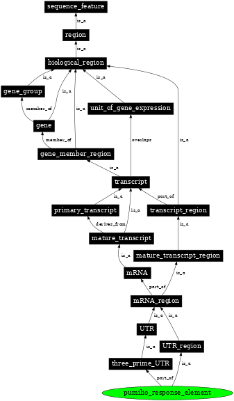 Graph image for SO:0002234