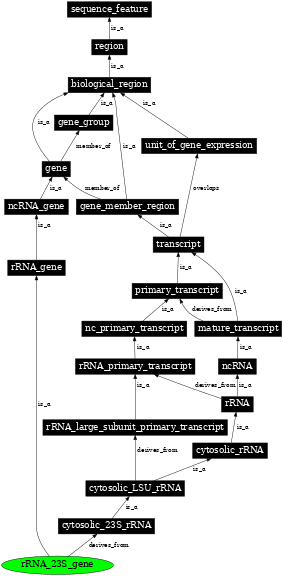 Graph image for SO:0002243