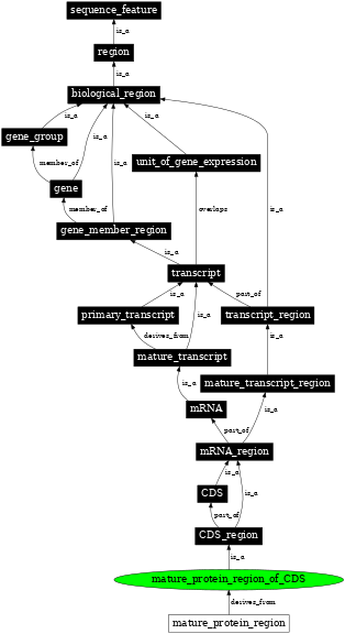 Graph image for SO:0002249