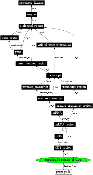 Graph image for SO:0002250