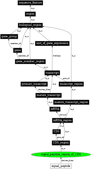 Graph image for SO:0002251