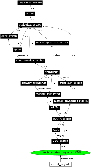 Graph image for SO:0002252