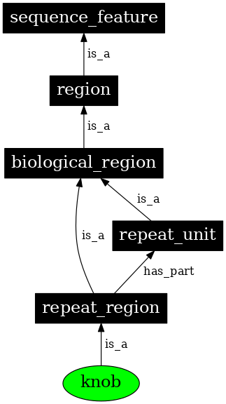 Graph image for SO:0002257