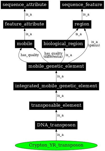 Graph image for SO:0002277