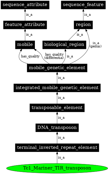 Graph image for SO:0002278