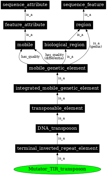 Graph image for SO:0002280