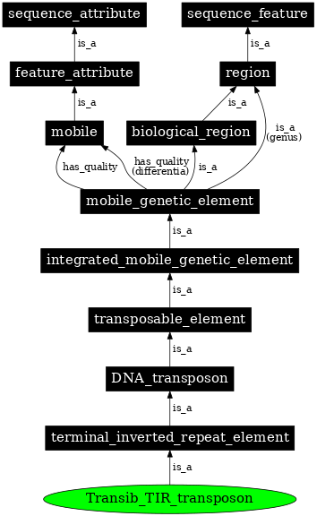 Graph image for SO:0002282