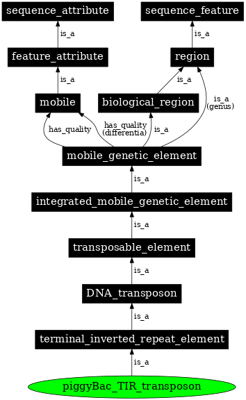 Graph image for SO:0002283