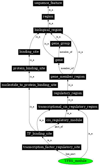 Graph image for SO:0002296