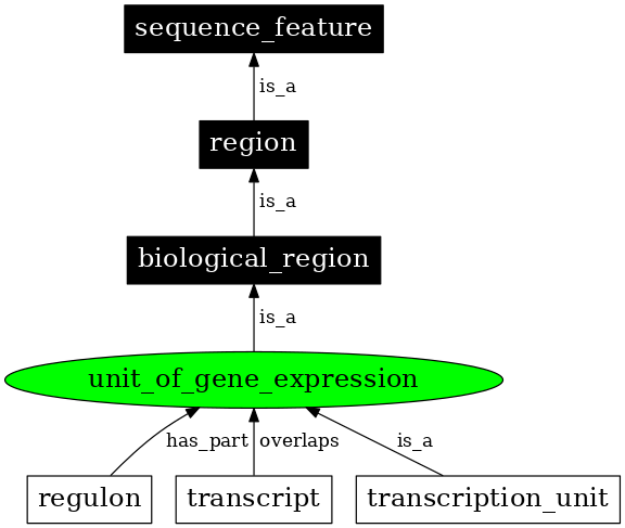 Graph image for SO:0002300