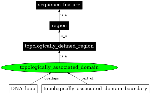 Graph image for SO:0002304