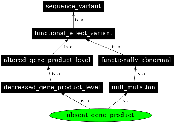 Graph image for SO:0002317