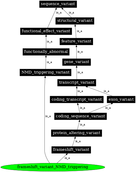 Graph image for SO:0002323