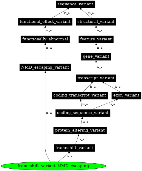 Graph image for SO:0002324