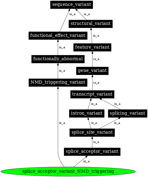 Graph image for SO:0002327