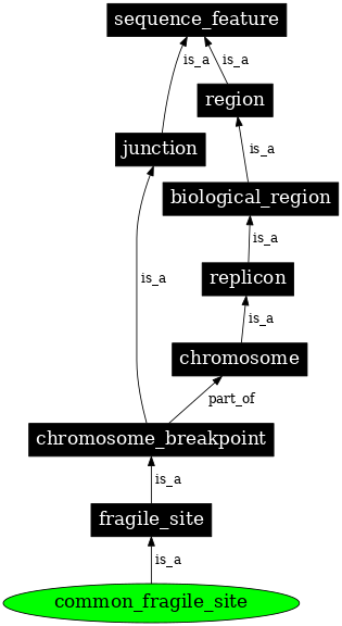 Graph image for SO:0002350