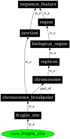 Graph image for SO:0002351