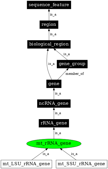 Graph image for SO:0002363