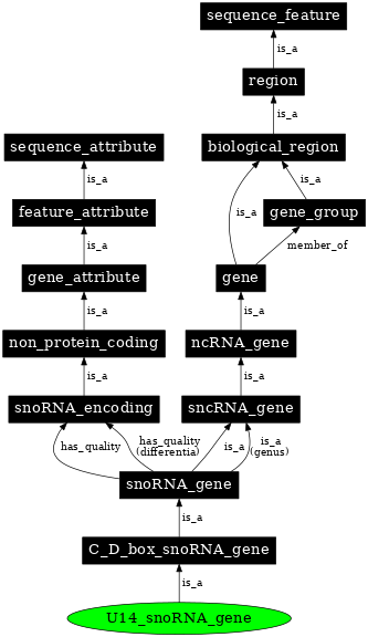 Graph image for SO:0002377