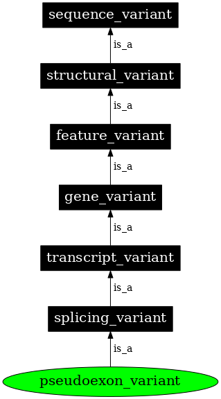 Graph image for SO:0002390
