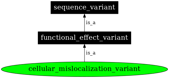 Graph image for SO:0002397