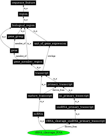 Graph image for SO:0005843