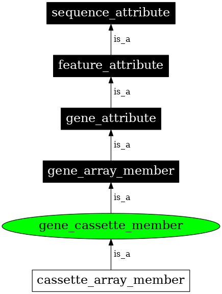 Graph image for SO:0005848