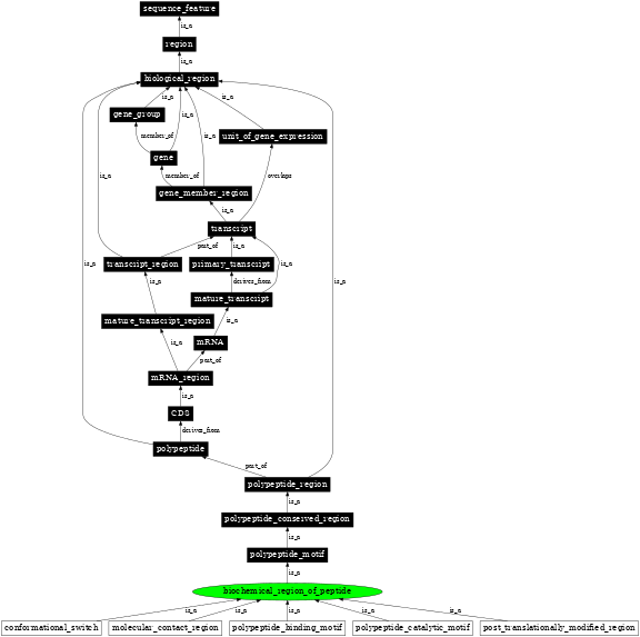 Graph image for SO:0100001