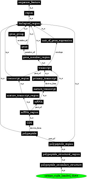 Graph image for SO:0100006