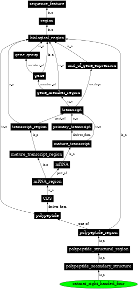 Graph image for SO:0100007