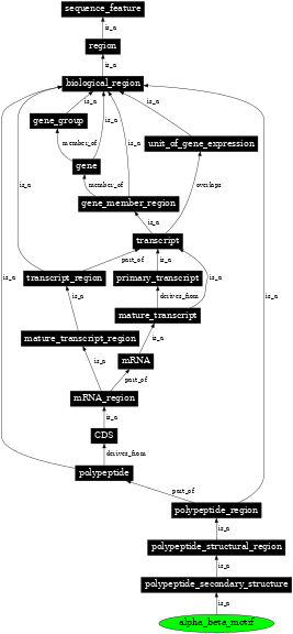 Graph image for SO:0100008