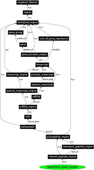 Graph image for SO:0100009