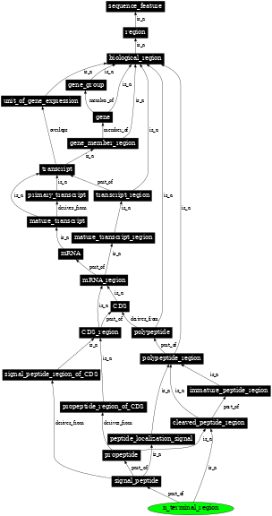 Graph image for SO:0100014