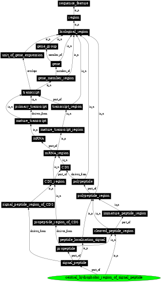 Graph image for SO:0100016