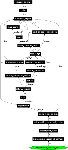 Graph image for SO:0100018