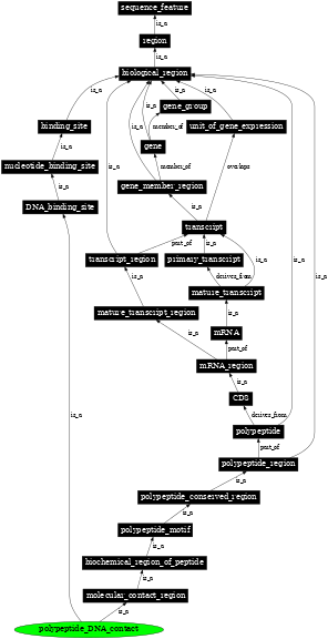 Graph image for SO:0100020